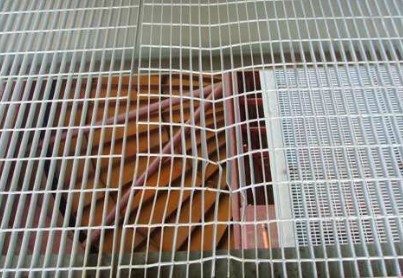 1562136182902085595.jpg 8.jpg